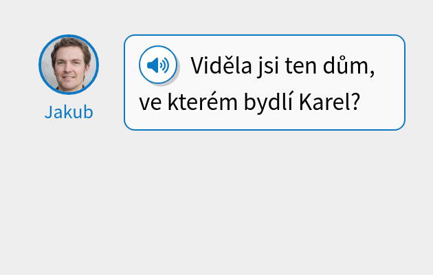 Viděla jsi ten dům, ve kterém bydlí Karel?