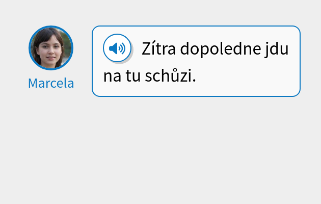 Zítra dopoledne jdu na tu schůzi.