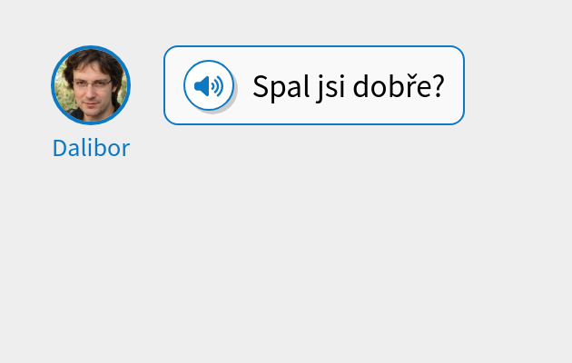 Spal jsi dobře?