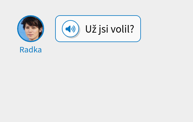 Už jsi volil?
