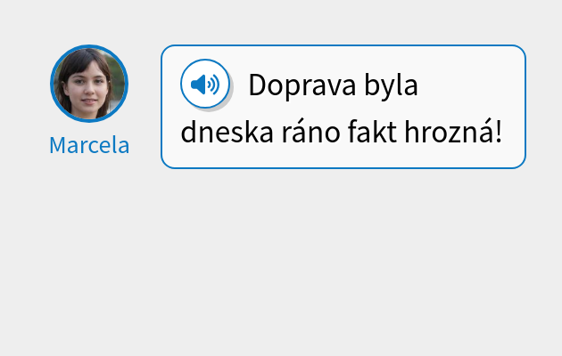 Doprava byla dneska ráno fakt hrozná!