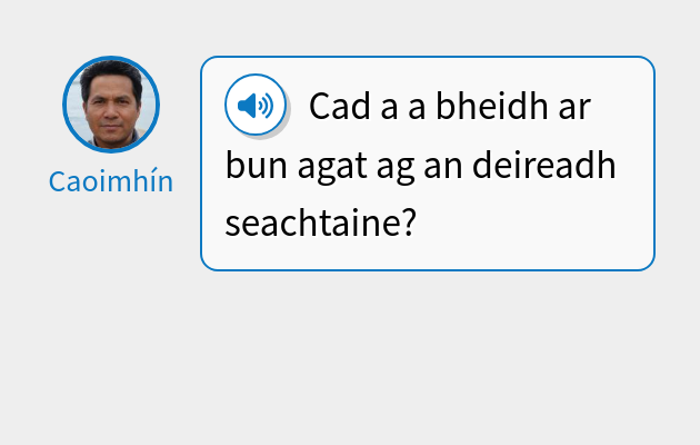 Cad a a bheidh ar bun agat ag an deireadh seachtaine?