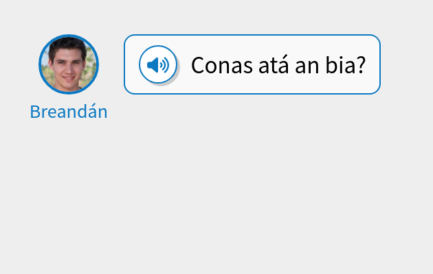 Conas atá an bia?