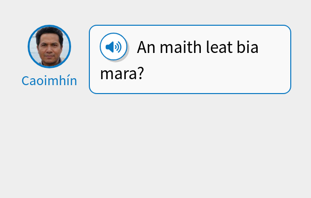 An maith leat bia mara?