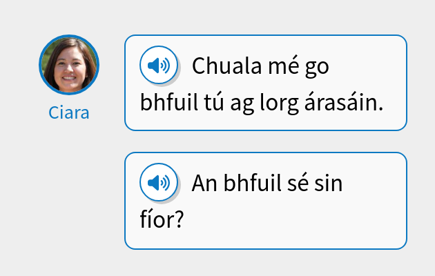 Chuala mé go bhfuil tú ag lorg árasáin.