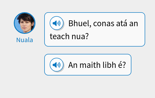 Bhuel, conas atá an teach nua?