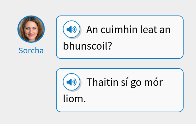 An cuimhin leat an bhunscoil?
