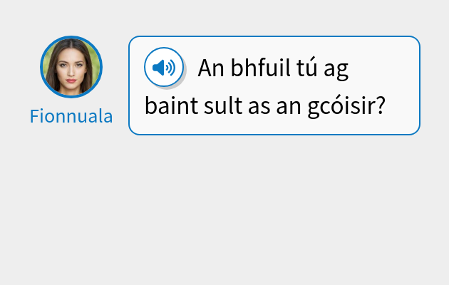 An bhfuil tú ag baint sult as an gcóisir?