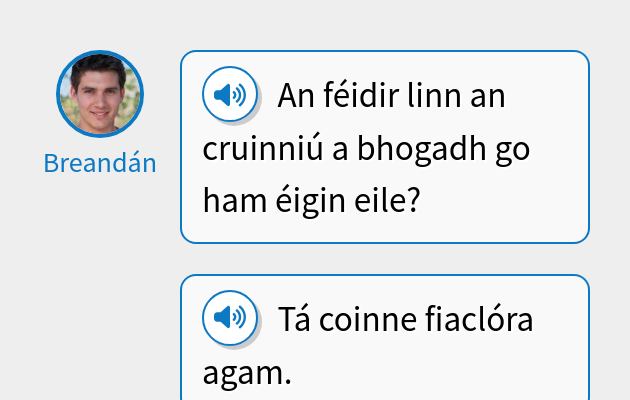 An féidir linn an cruinniú a bhogadh go ham éigin eile?
