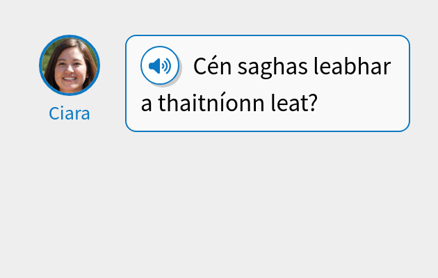 Cén saghas leabhar a thaitníonn leat?