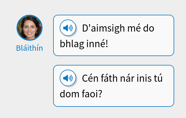 D'aimsigh mé do bhlag inné!