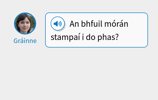 An bhfuil mórán stampaí i do phas?