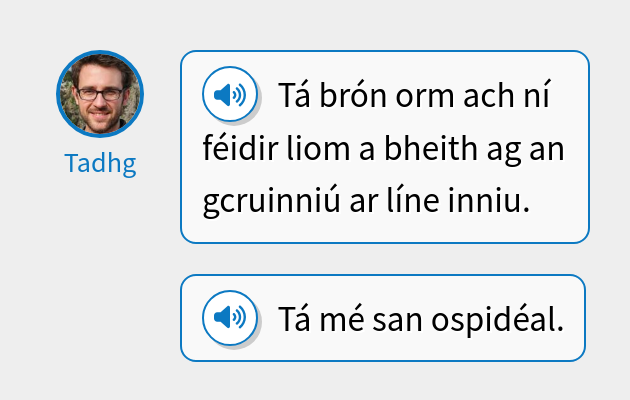 Tá brón orm ach ní féidir liom a bheith ag an gcruinniú ar líne inniu.