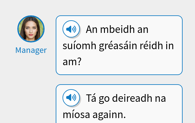 An mbeidh an suíomh gréasáin réidh in am?
