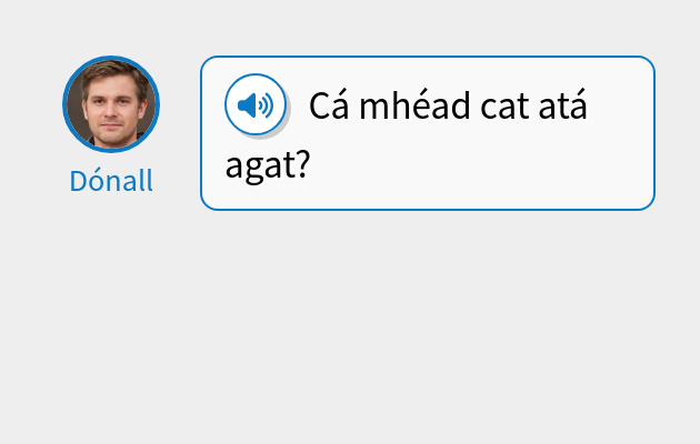 Cá mhéad cat atá agat?