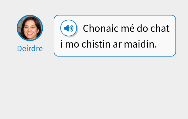 Chonaic mé do chat i mo chistin ar maidin.