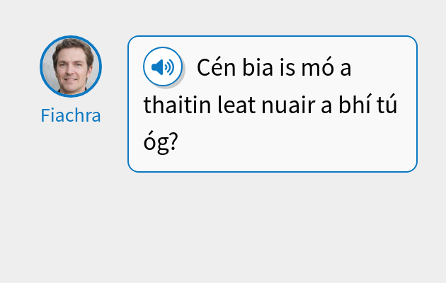 Cén bia is mó a thaitin leat nuair a bhí tú óg?