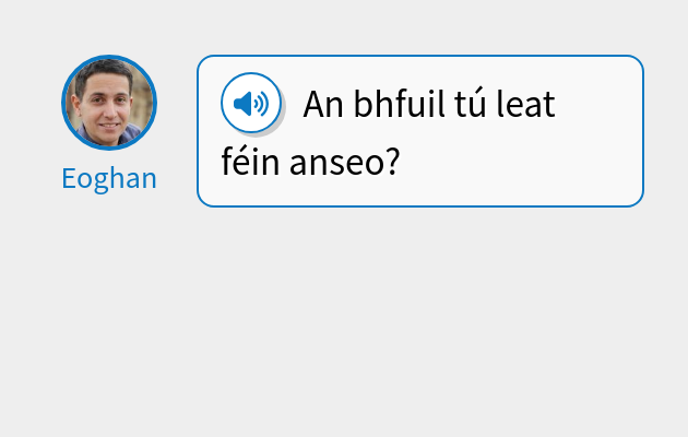An bhfuil tú leat féin anseo?