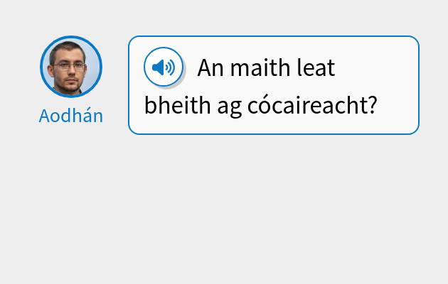 An maith leat bheith ag cócaireacht?