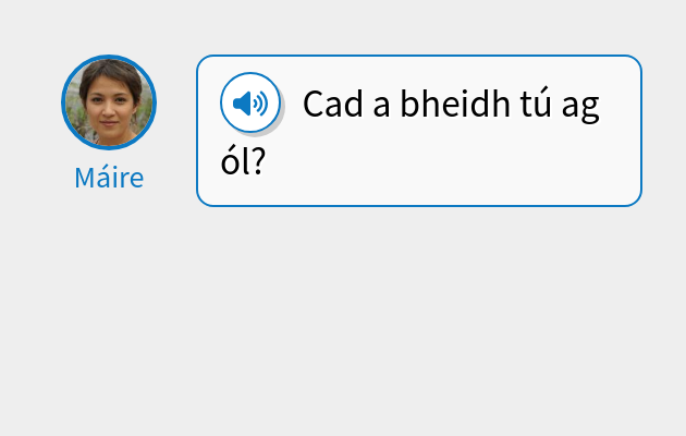 Cad a bheidh tú ag ól?