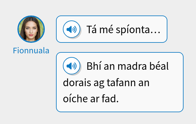 Tá mé spíonta…