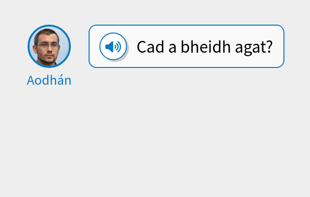 Cad a bheidh agat?