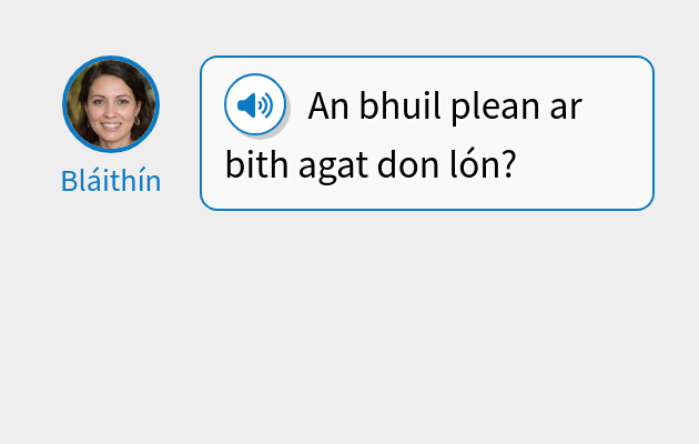 An bhfuil plean ar bith agat don lón?
