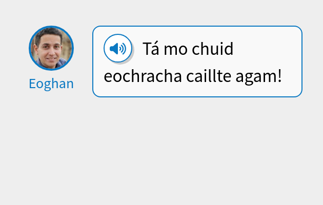 Tá mo chuid eochracha caillte agam!