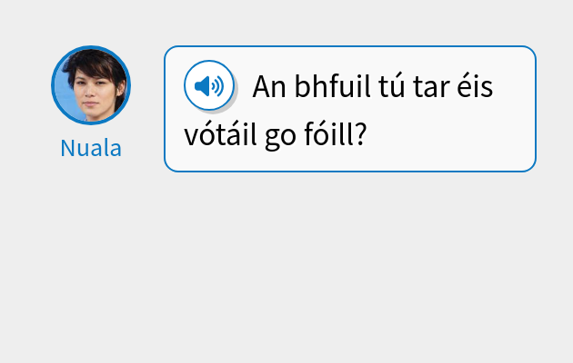 An bhfuil tú tar éis vótáil go fóill?
