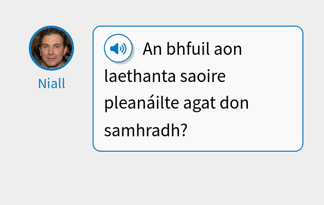An bhfuil aon laethanta saoire pleanáilte agat don samhradh?