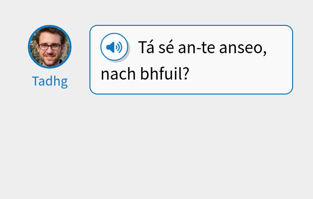 Tá sé an-te anseo, nach bhfuil?